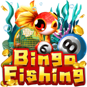 Câu Cá Bingo c54c app