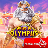 Cổng Olympus c54c slot